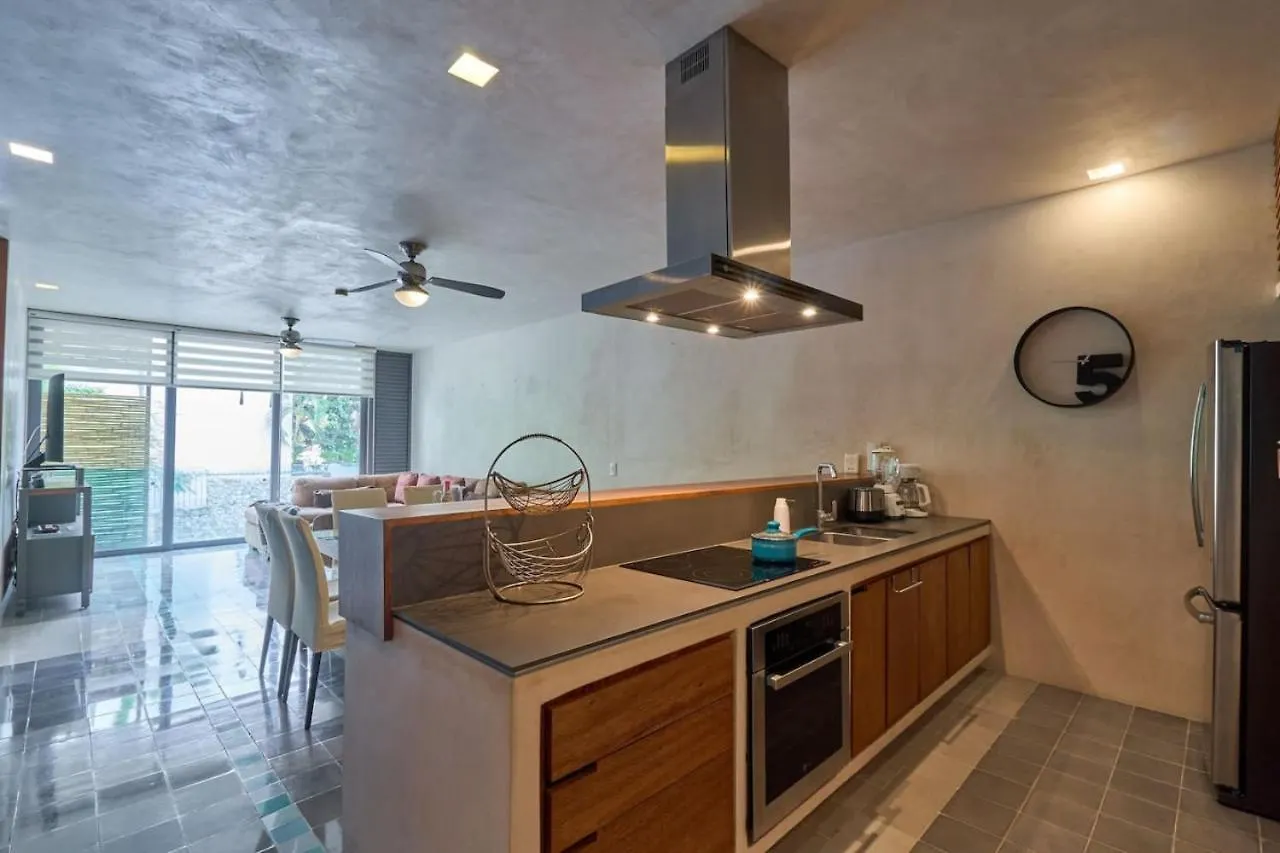 Downtown 2Br Home Beach At 200M With Rooftop And Pool Playa del Carmen 0*,  Mexico