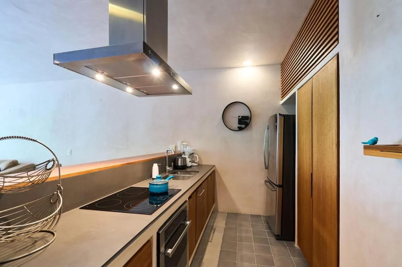 Apartment Downtown 2Br Home Beach At 200M With Rooftop And Pool Playa del Carmen